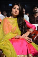 Ulavacharu Biryani Audio Launch